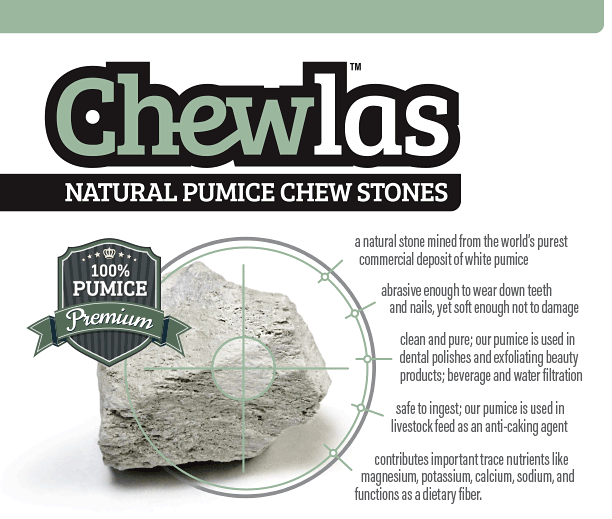 Are Pumice Stones Safe?